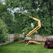 Best Tree Removal  in Gunnison, UT