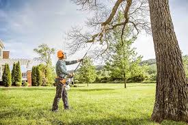 How Our Tree Care Process Works  in  Gunnison, UT