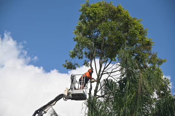 Best Commercial Tree Services  in Gunnison, UT